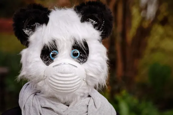 فيغادريم كازينو الدعم